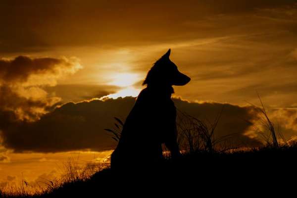 Sonnenaufgänge oder - untergänge-Beitrag-Bild