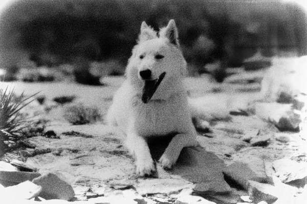 70. Handy-Fotochallenge: Zeitreisen-Beitrag-Bild