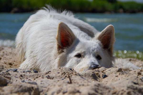 FOTO-Challenge  NR. 91: Die pure Entspannung-Beitrag-Bild