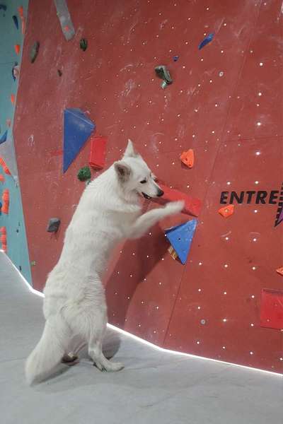 57. Handy Foto Challenge - klettern-Beitrag-Bild