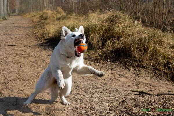 146. Foto Challenge: Maulaufreisser-Beitrag-Bild