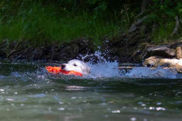 Moviestar-Pics!-Beitrag-Bild