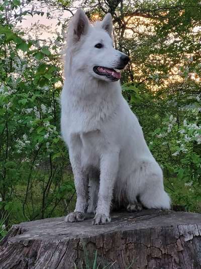 Theos  Fotochallenge Nummer 2-Beitrag-Bild