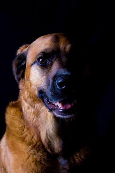 Zeigt eure Portraits-Beitrag-Bild