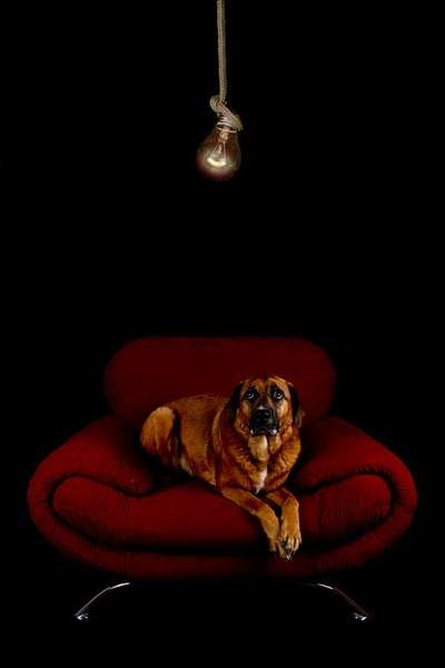 Photoshop und Co.-Beitrag-Bild