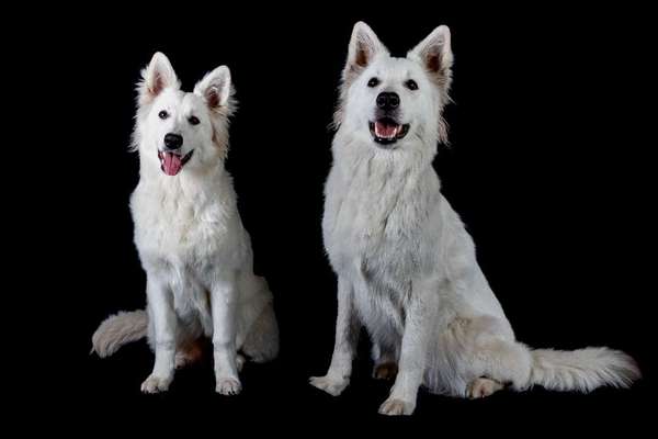 Foto Challenge Nr.: 115-Beitrag-Bild