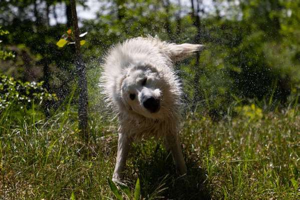 Foto Challenge Nr.133-Beitrag-Bild