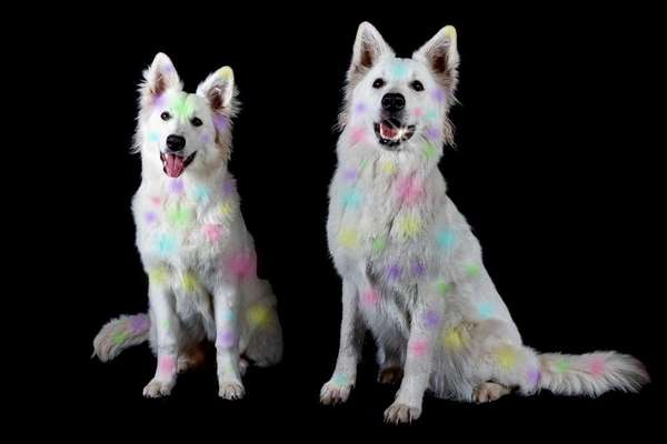 34. Farben-Challenge: Punkte - Punkte - Pünktchen-Beitrag-Bild