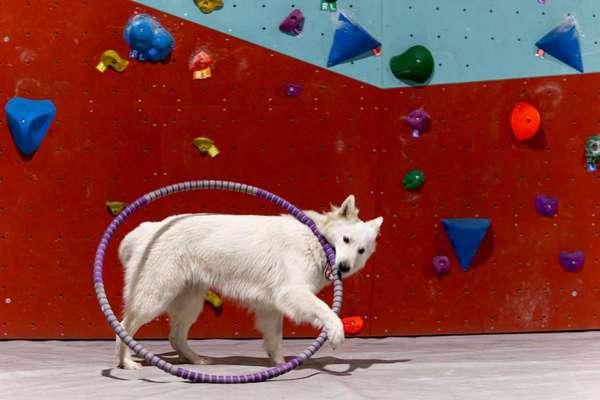 4. Farben/Fotochallenge:          Bunt und Farbenfroh-Beitrag-Bild