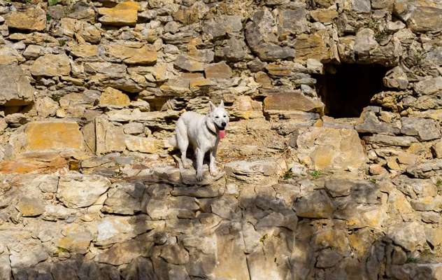 28. Farben Foto Challenge * BEIGE *-Beitrag-Bild