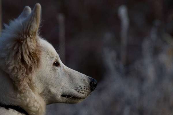 Zeigt eure Portraits-Beitrag-Bild