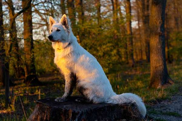 Farben Fotochallenge Sonnenlicht-Beitrag-Bild