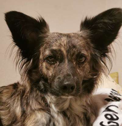 Fotochallange Nr. 57     PORTRÄT.   Beendet!!!!!!!!-Beitrag-Bild