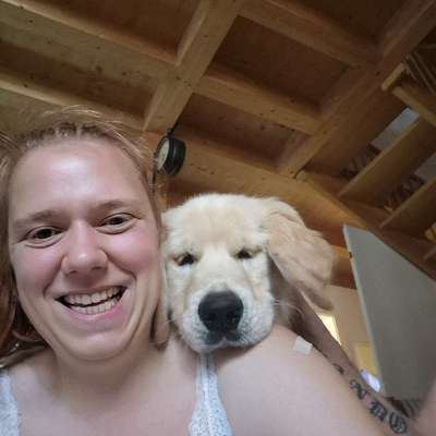 Hundetreffen-Spaziergang oder Spielen-Profilbild