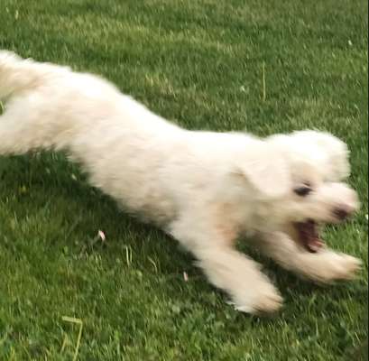 Lustige Grimassen & verrückte Posen-Beitrag-Bild