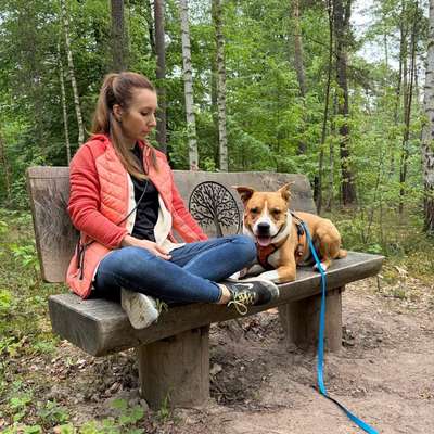Hundetreffen-Entspannte Spaziergang im Wald 🌳 und Umkreis-Bild