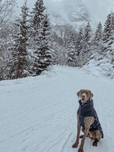 Vorbereitung Winterurlaub-Beitrag-Bild