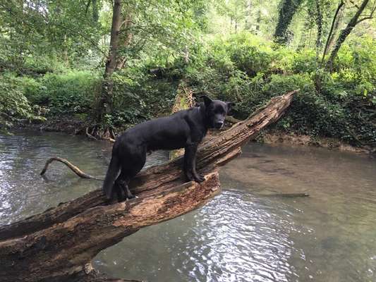 Fotowettbewerb Natur-Beitrag-Bild