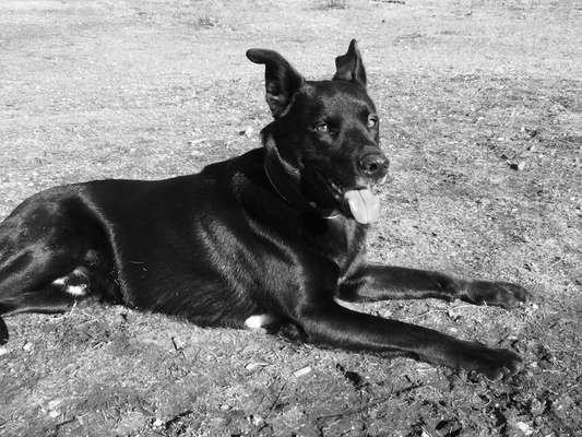 Foto-Challenge 76: Foto in Schwarz-Weiss-Beitrag-Bild