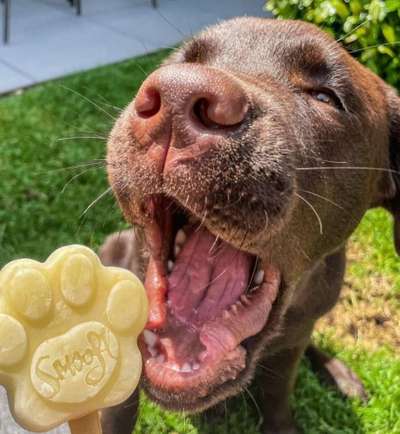 Fotochallenge Nr. 94 It's summer time-Beitrag-Bild