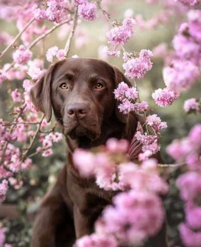 Fotochallenge 78

Es grünt und blüht-Beitrag-Bild