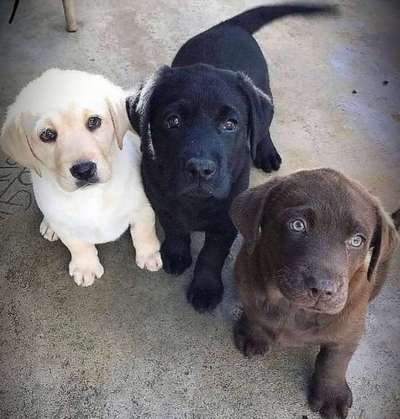 Handy-Foto-Challange Nr. 8-Beitrag-Bild