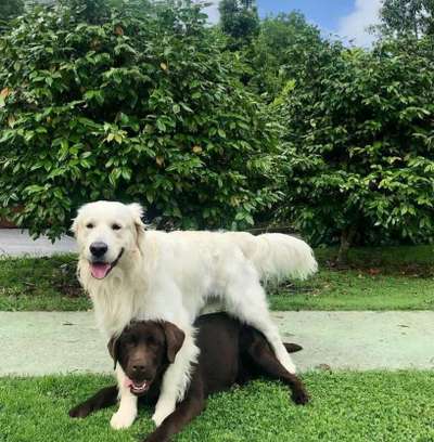 Fotochallenge 87: Im Park-Beitrag-Bild