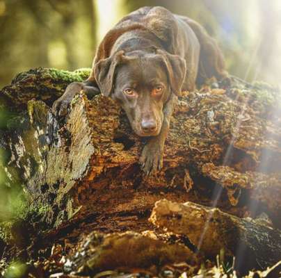 Foto Challenge Nr. 79-Beitrag-Bild