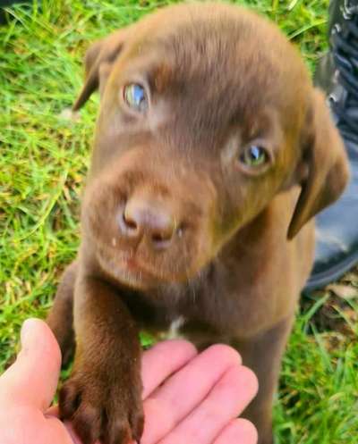 Fotochallenge Nr. 67: Euer Lieblingsbild-Beitrag-Bild