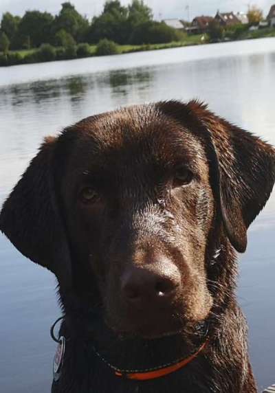 Fotochallange Nr. 57     PORTRÄT.   Beendet!!!!!!!!-Beitrag-Bild