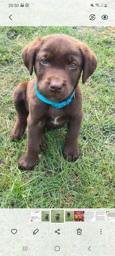 Erstes Bild-Beitrag-Bild