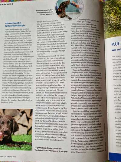 Vegetarische oder vegane Ernährung beim Hund?-Beitrag-Bild