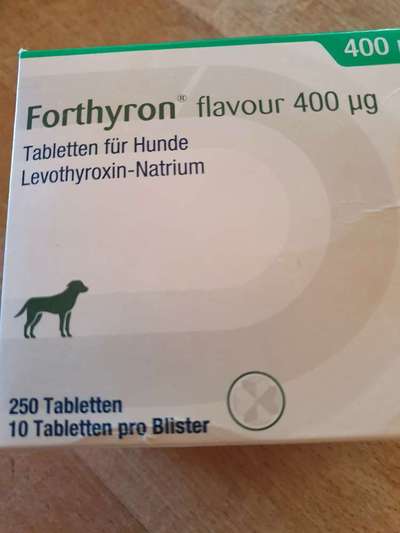 Autoimunerkrankung SLO - Schuhe gesucht-Beitrag-Bild