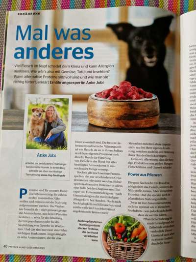 Vegetarische oder vegane Ernährung beim Hund?-Beitrag-Bild