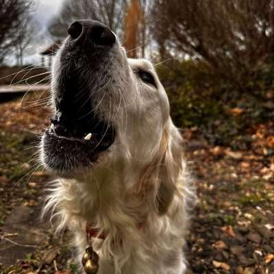 Patrizia's Profilbild