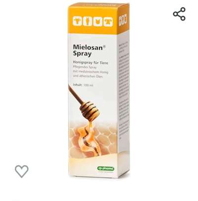 Autoimunerkrankung SLO - Schuhe gesucht-Beitrag-Bild