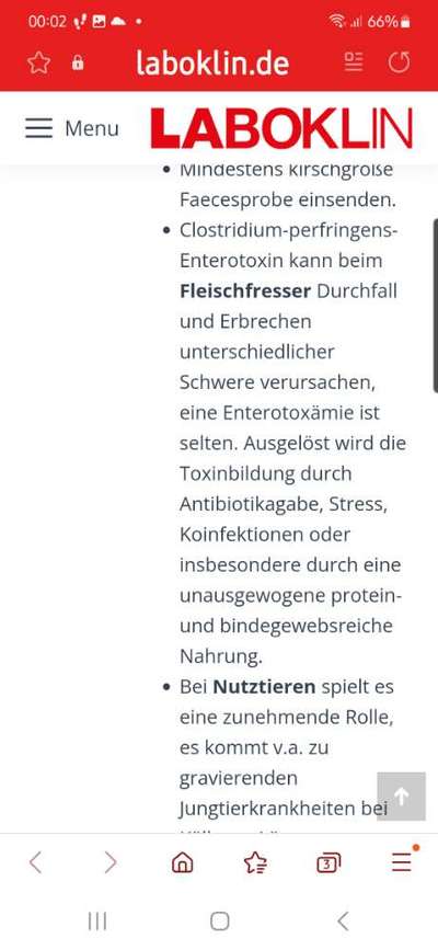 Leberprobleme beim Hund, Erfahrungsaustausch-Beitrag-Bild