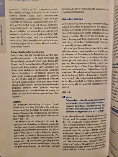 Leberprobleme beim Hund, Erfahrungsaustausch-Beitrag-Bild