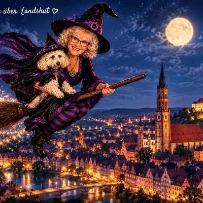 🎃🐶 Hund im Halloween-Kostüm – süß oder Stress pur?-Beitrag-Bild