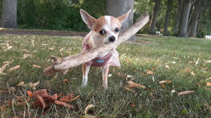 Fotochallange Nr. 57     PORTRÄT.   Beendet!!!!!!!!-Beitrag-Bild