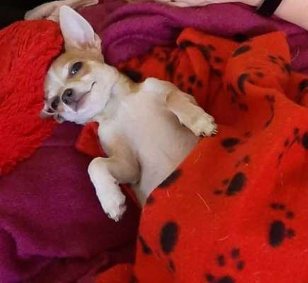 Fotochallange Nr. 57     PORTRÄT.   Beendet!!!!!!!!-Beitrag-Bild