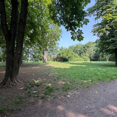 Hundeauslaufgebiet-Kronepark-Bild