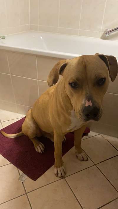 Eingezäunter Platz-Beitrag-Bild