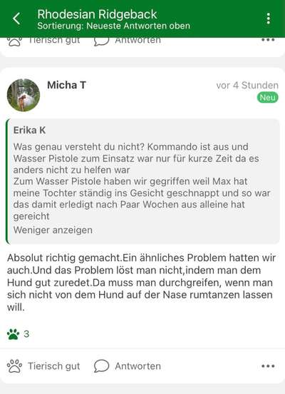 Rhodesian Ridgeback-Beitrag-Bild