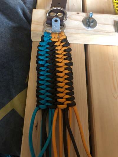 Windhunde - Treffen der besonderen Schönheiten
HERZLICH WILLKOMMEN-Beitrag-Bild