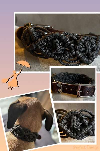 Selbstgemachte Artikel für Hunde-Beitrag-Bild