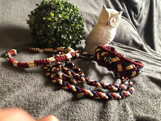 Welche Kauf Empfehlung-Beitrag-Bild