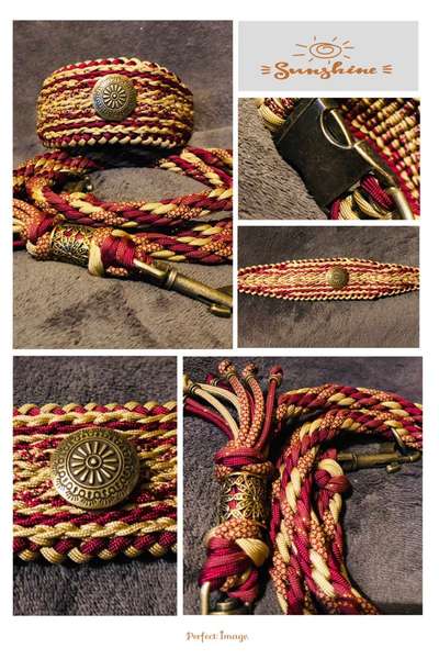 Windhunde - Treffen der besonderen Schönheiten
HERZLICH WILLKOMMEN-Beitrag-Bild