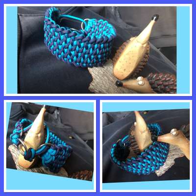 Perfektes Halsband für einen Dobermann?-Beitrag-Bild