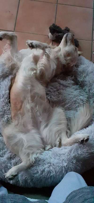 Erfahrung mit Wolkenbett-Beitrag-Bild